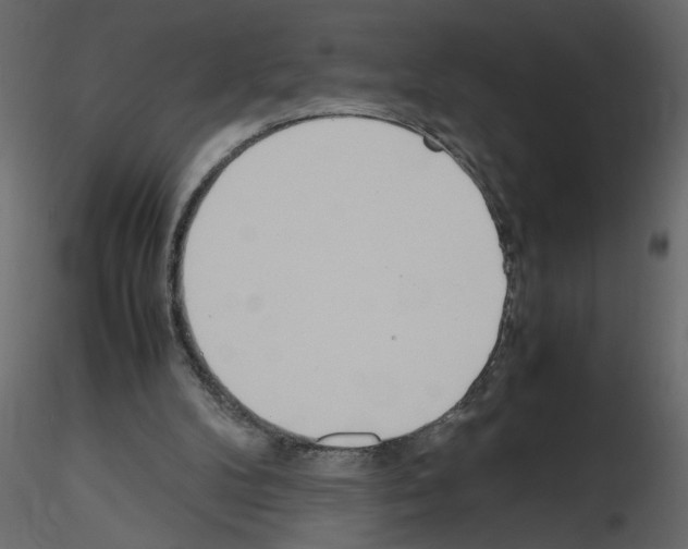 X0000115660104200912241407