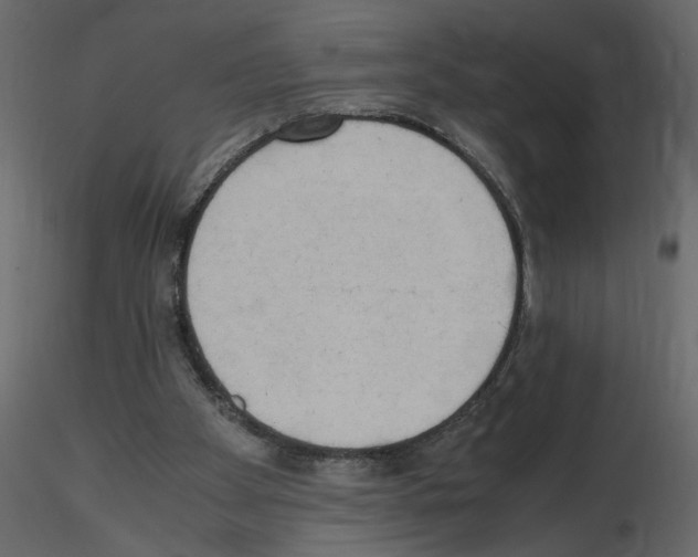 X0000115660105200912241407