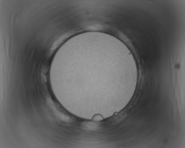 X0000115660106200912241407