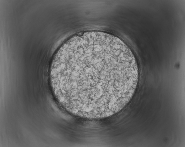 X0000115660107200912241407