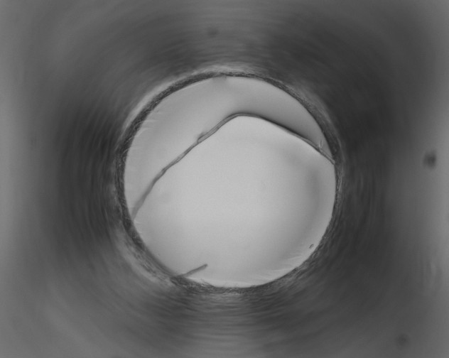 X0000115660108200912241407