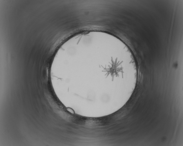 X0000115660109200912241407