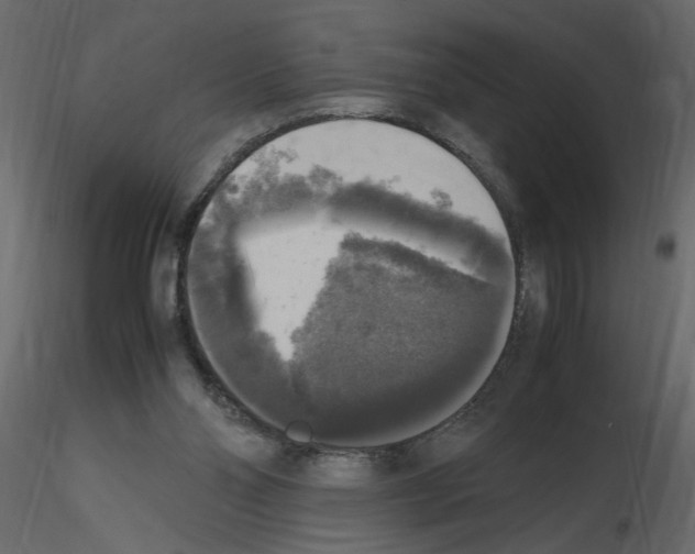 X0000115660110200912241407