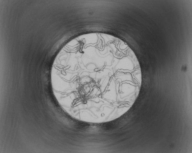 X0000115660111200912241407