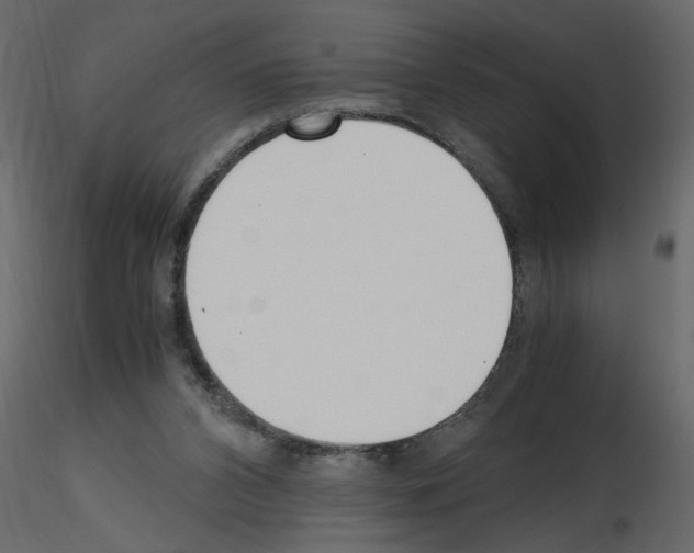 X0000115660112200912241407