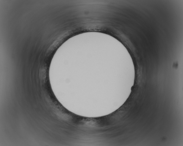 X0000115660113200912241407