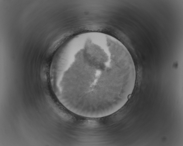X0000115660114200912241407