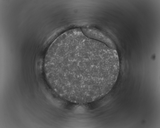 X0000115660115200912241407
