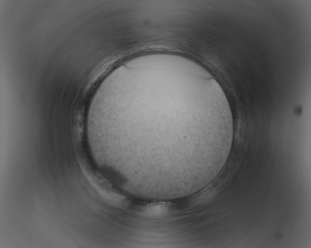 X0000115660116200912241407