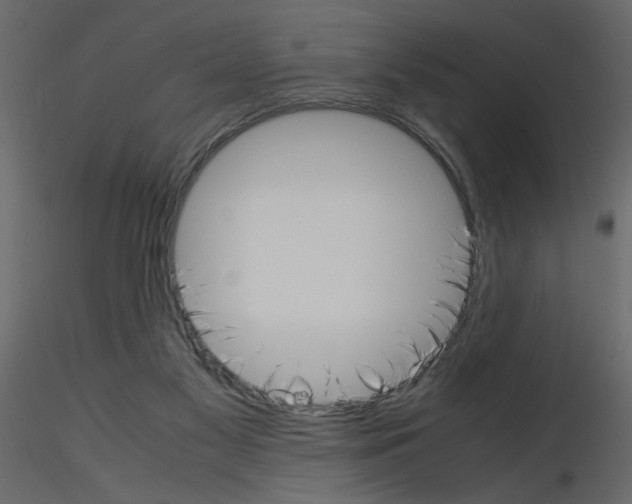 X0000115660117200912241407