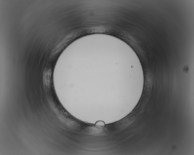 X0000115660118200912241407