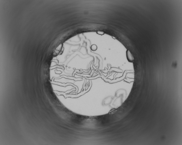 X0000115660119200912241407