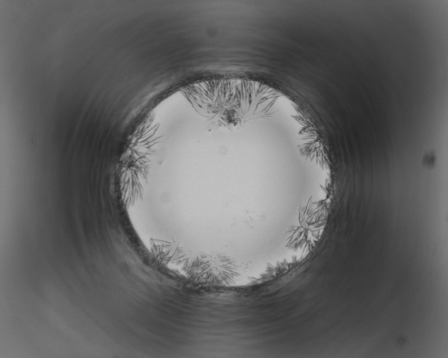 X0000115660120200912241407