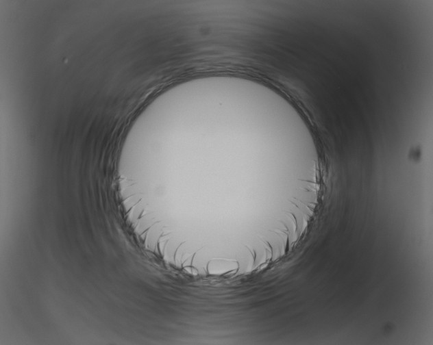 X0000115660121200912241407