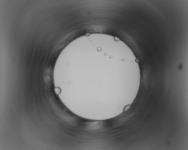 X0000115660122200912241407