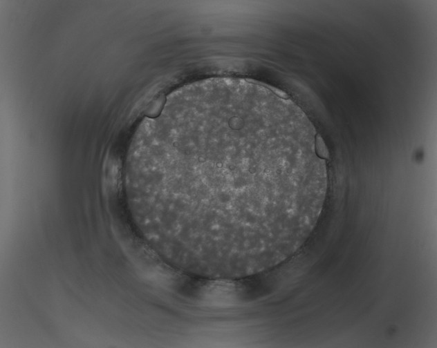 X0000115660123200912241407