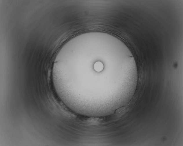 X0000115660124200912241407