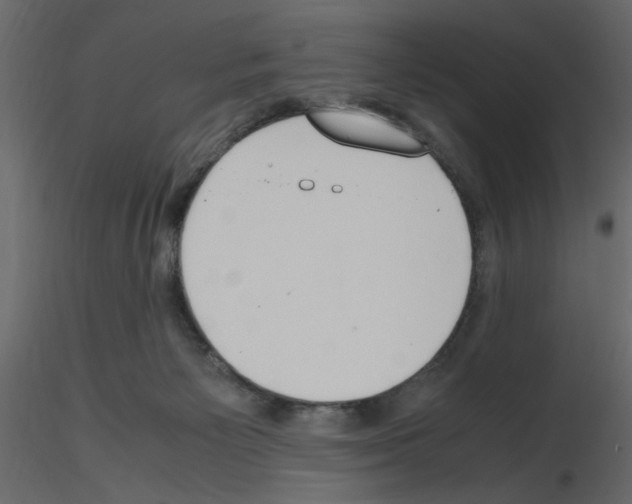 X0000115660125200912241407