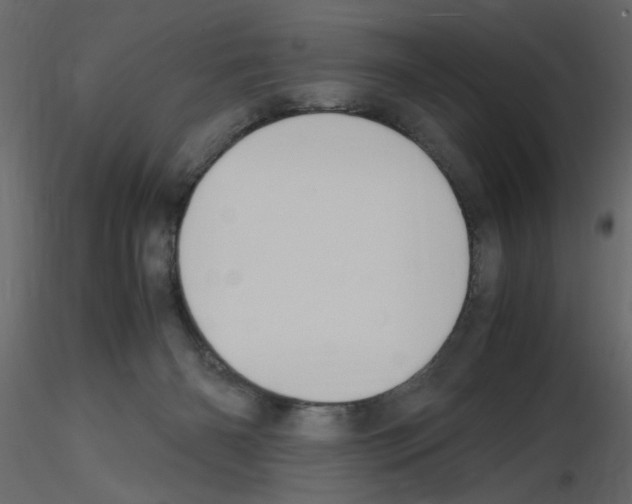X0000115660126200912241407