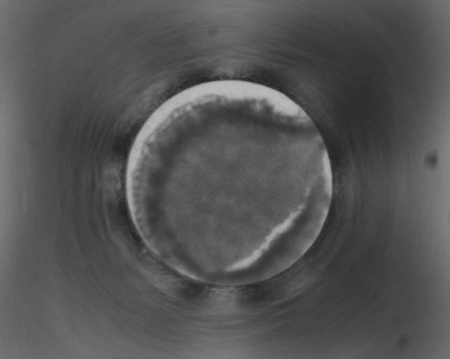 X0000115660127200912241407