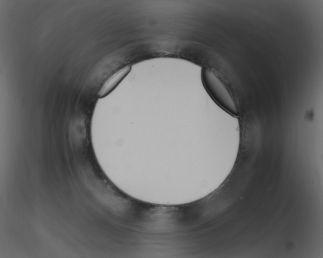 X0000115660128200912241407
