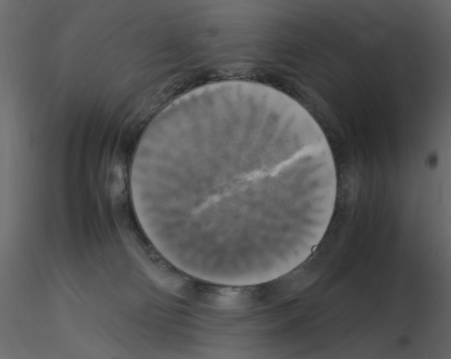 X0000115660130200912241407