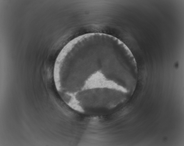 X0000115660131200912241407