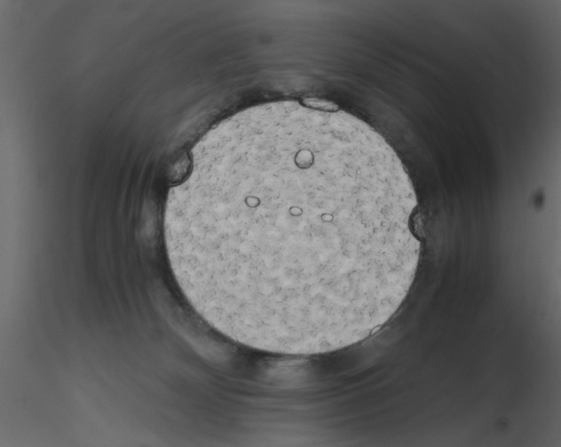 X0000115660132200912241407
