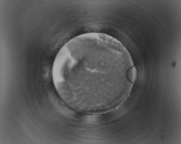 X0000115660134200912241407