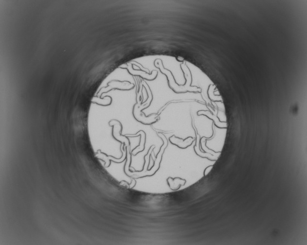 X0000115660135200912241407