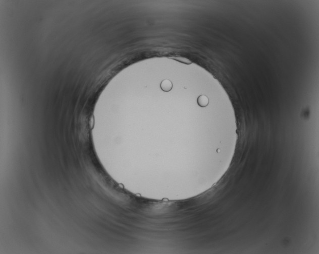 X0000115660136200912241407