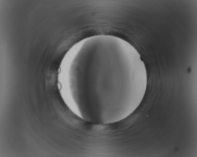 X0000115660139200912241406