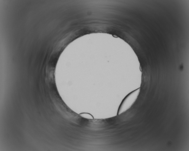 X0000115660141200912241406
