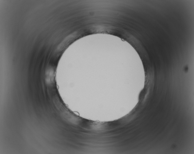 X0000115660142200912241406
