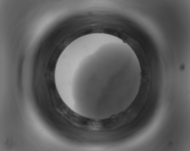 X0000115660143200912241406