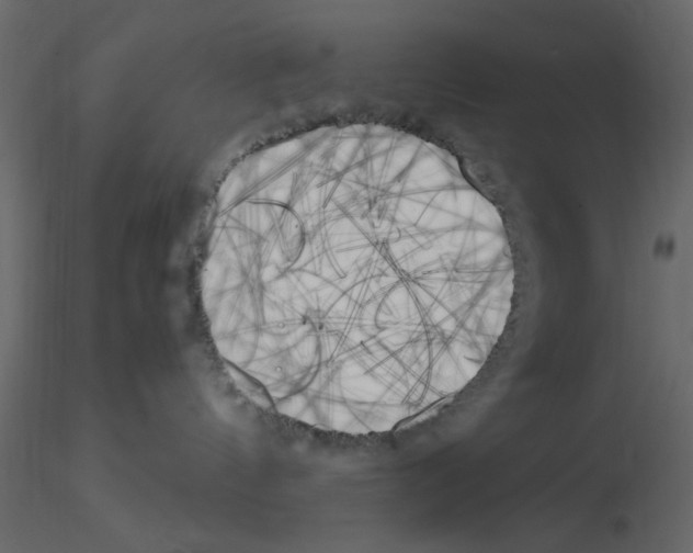 X0000115660144200912241406