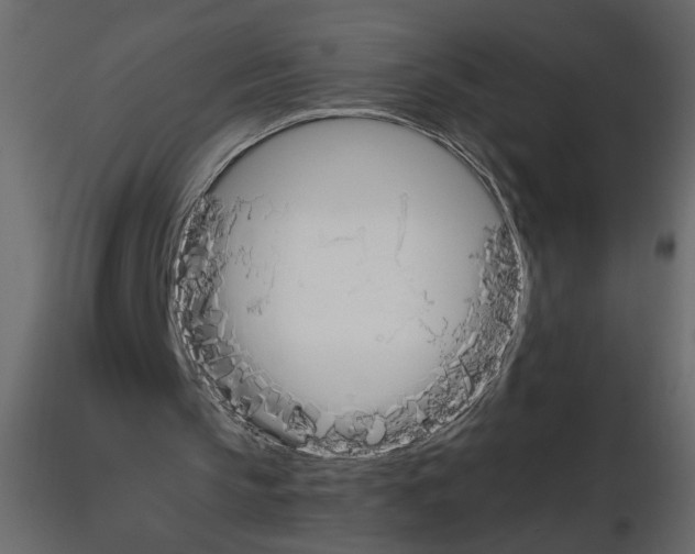 X0000115660145200912241406