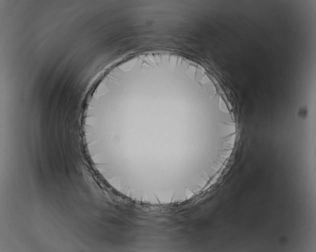 X0000115660146200912241406