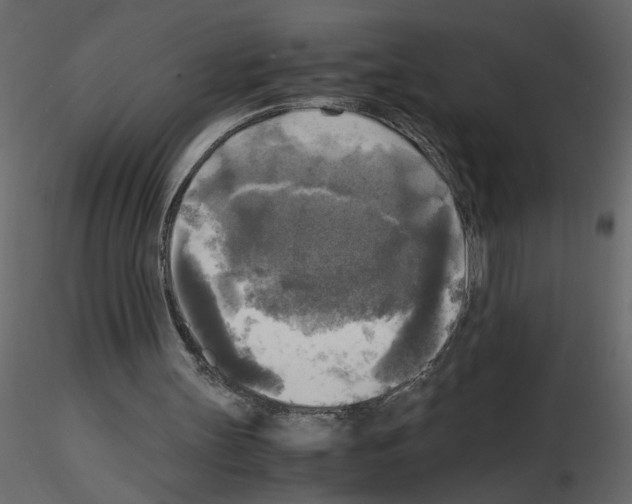 X0000115660147200912241406