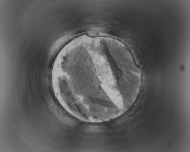 X0000115660149200912241406