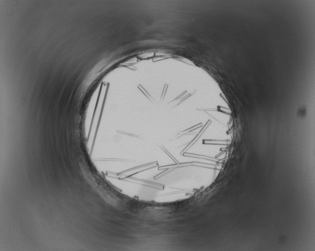 X0000115660150200912241406