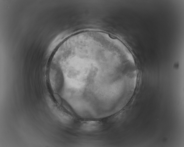 X0000115660151200912241406