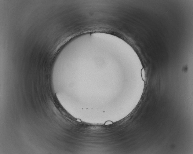 X0000115660154200912241406