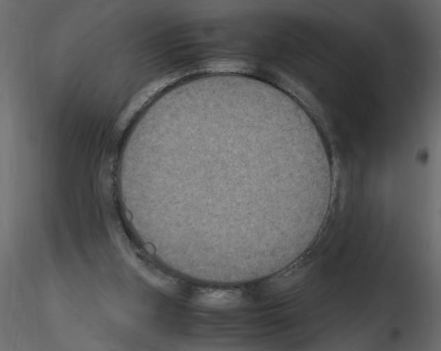 X0000115660155200912241406