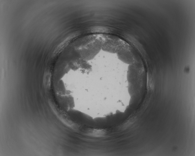 X0000115660157200912241406