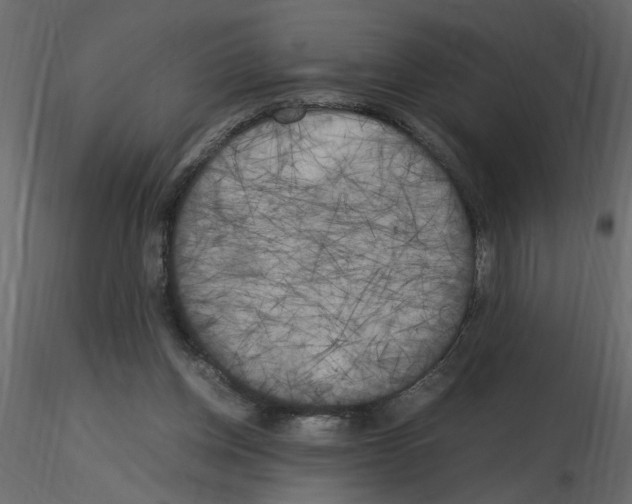X0000115660158200912241406