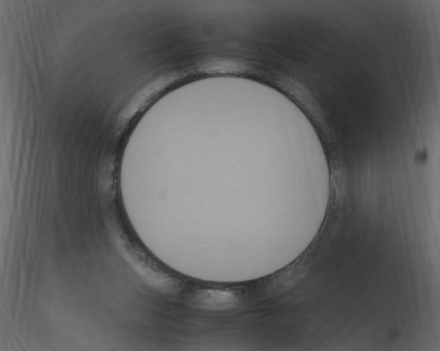 X0000115660159200912241406