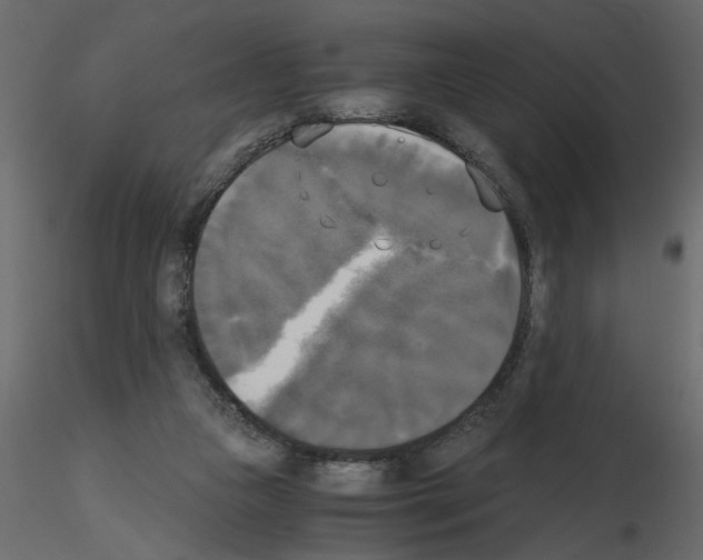 X0000115660161200912241406