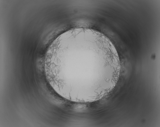 X0000115660162200912241406