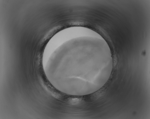 X0000115660163200912241406
